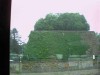 Pict0588.jpg